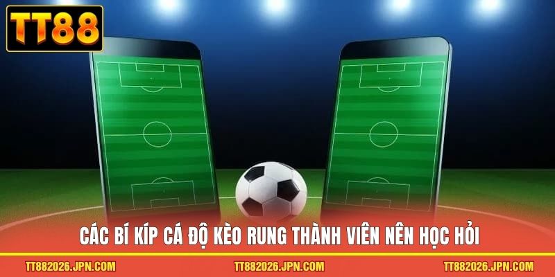 Kèo Rung - Loại Hình Cá Độ Kịch Tính Cho Hội Viên TT88 3 Các bí kíp cá độ kèo rung thành viên nên học hỏi