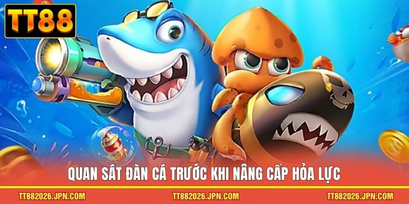 Mẹo Chơi Bắn Cá TT88 Giúp Bạn Săn Thưởng Cực Dễ Dàng 2 Quan sát đàn cá trước khi nâng cấp hỏa lực